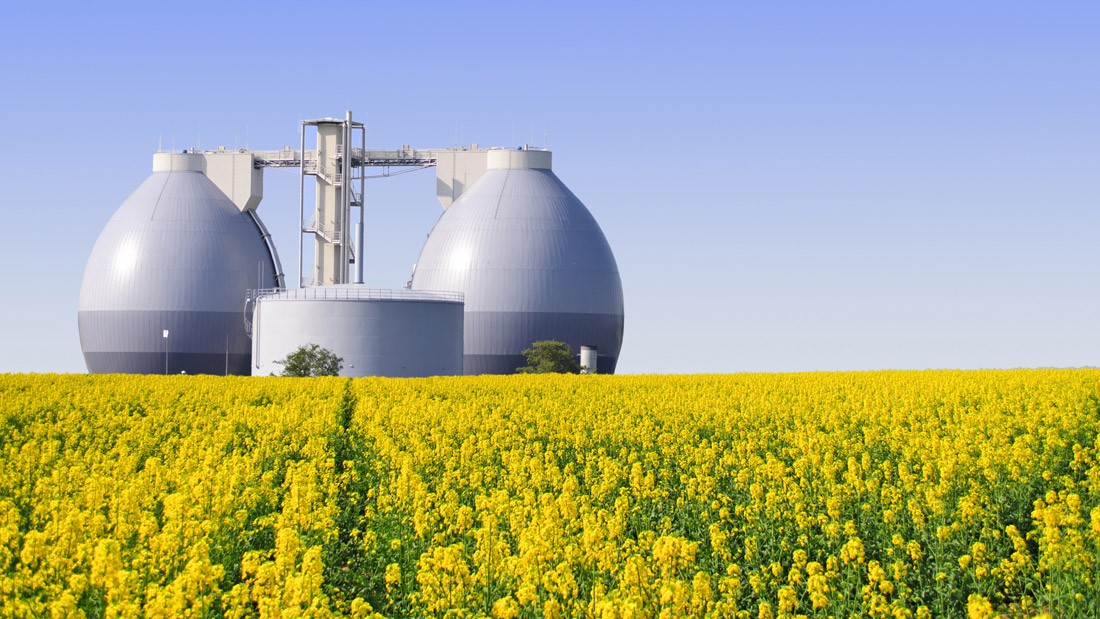 Biogaserzeugung: Mist mit Dreifachnutzen